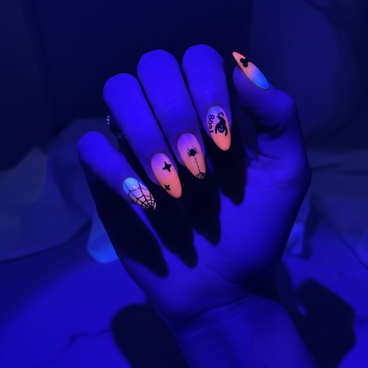 Boo & Glow