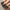 Deep Forest Green